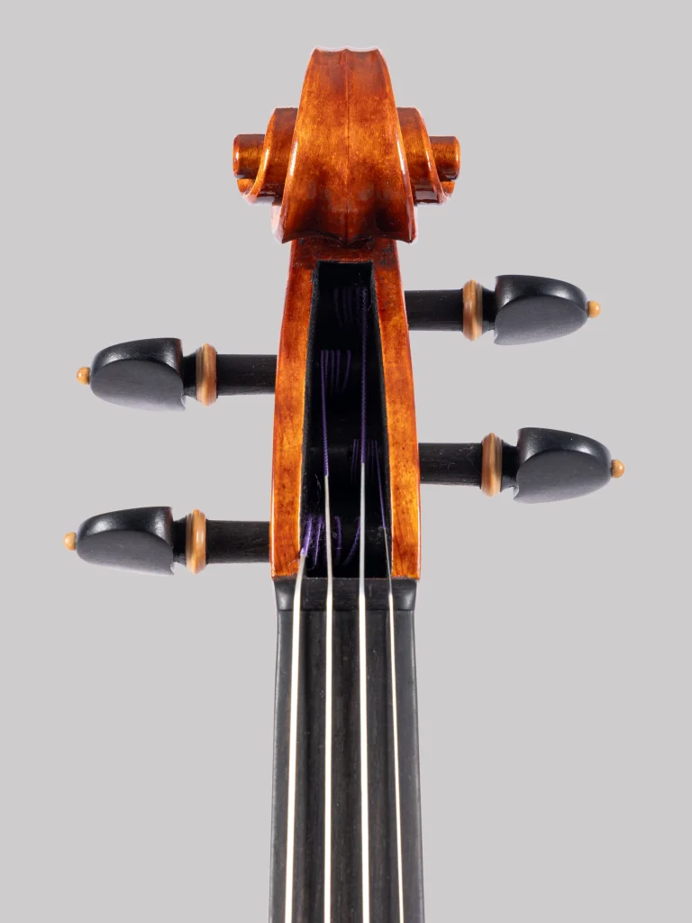riccio-frontale-stradivari1715
