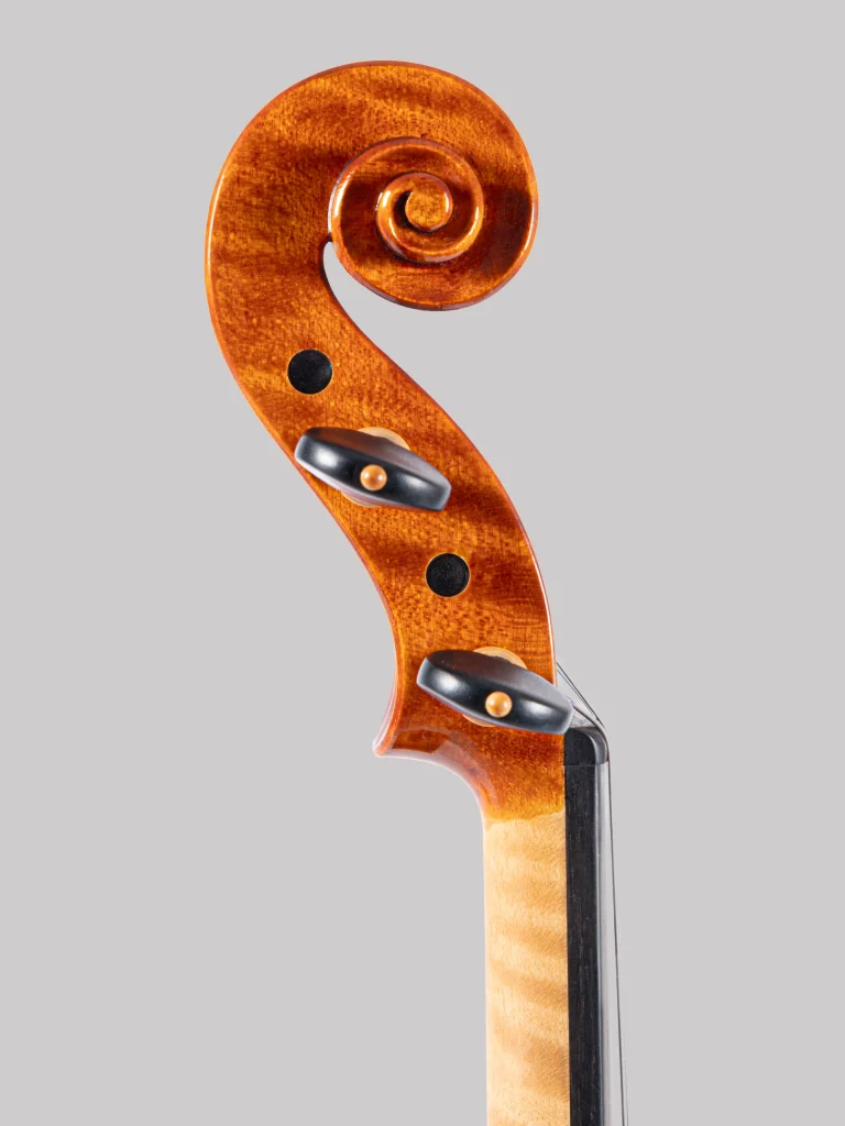 riccio-stradivari-1715