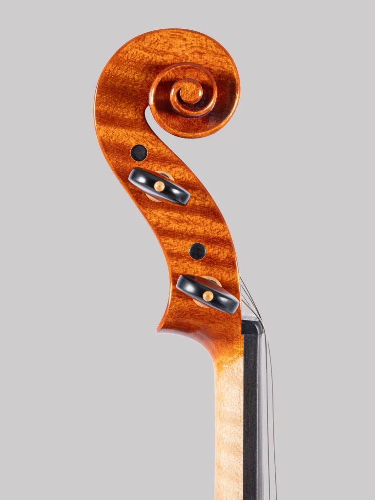 riccio-viola-moderna-ornati